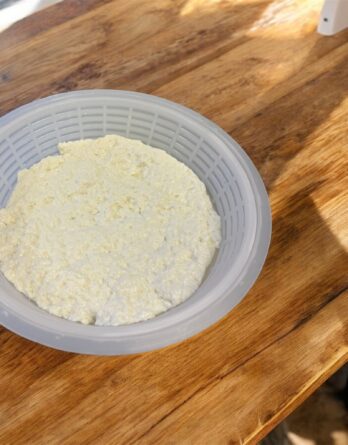 Ricotta